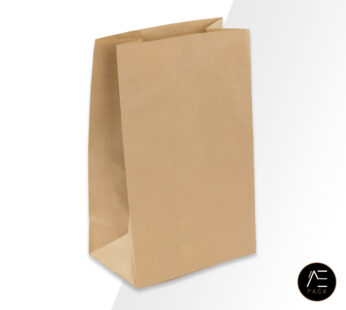 Sacs kraft bag